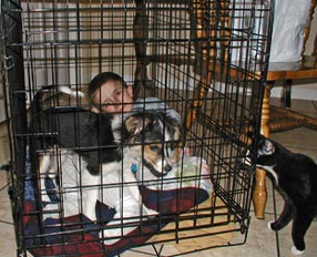 Jayce in Tate's cage