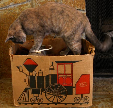Miss Kitty Drives Wood Box Train