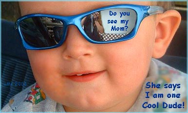 Photo illustration © Virginia McCorkell; photo of Levi by Sarah Dake Steinhauer Levi Steinhauer shows off his mom, reflected in his shades. - 226cooldude