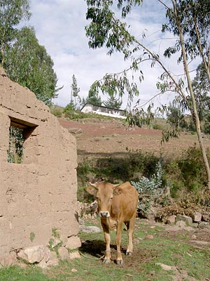 Hospital Morochata