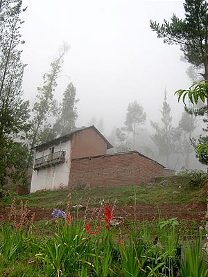 View from hospital steps
