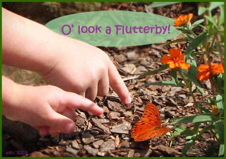 Oh, look! A "flutterby"!